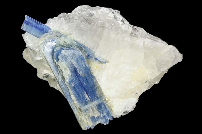 Vibrant Blue Kyanite Crystals In Quartz - Brazil #127360
